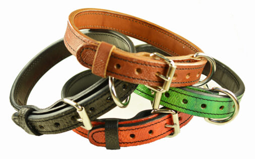 K9 Collar