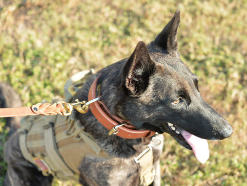 K9 Leather Lead