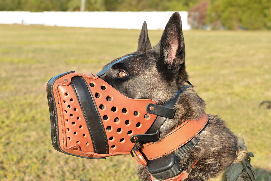 K9 Agitation Muzzle K9 Agitation Muzzle