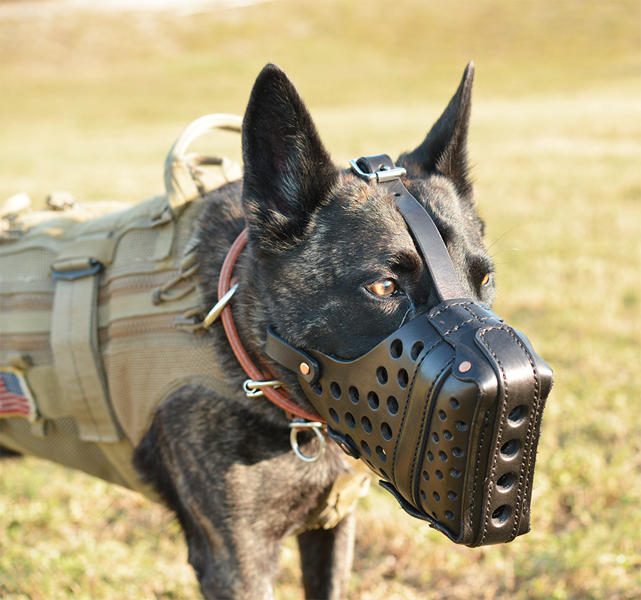 K9 Agitation Muzzle K9 Agitation Muzzle