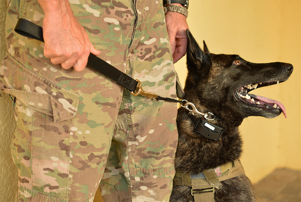 K9 Nylon Grabber with K9 and handler K9 Nylon Grabber