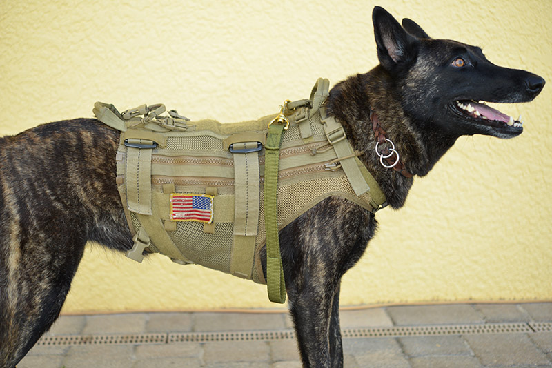 K9 Nylon Grabber with K9 K9 Nylon Grabber