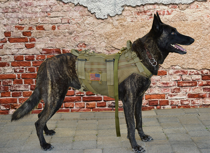 K9 Nylon Grabber with K9 1 K9 Nylon Grabber