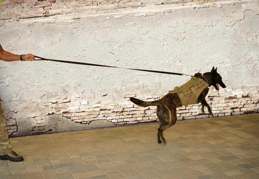 K9 Tactical Lead 6 ft with K9 K9 Tactical Nylon Lead