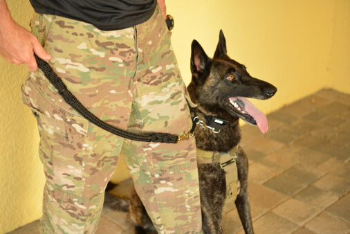 K9 Rope Grabber
