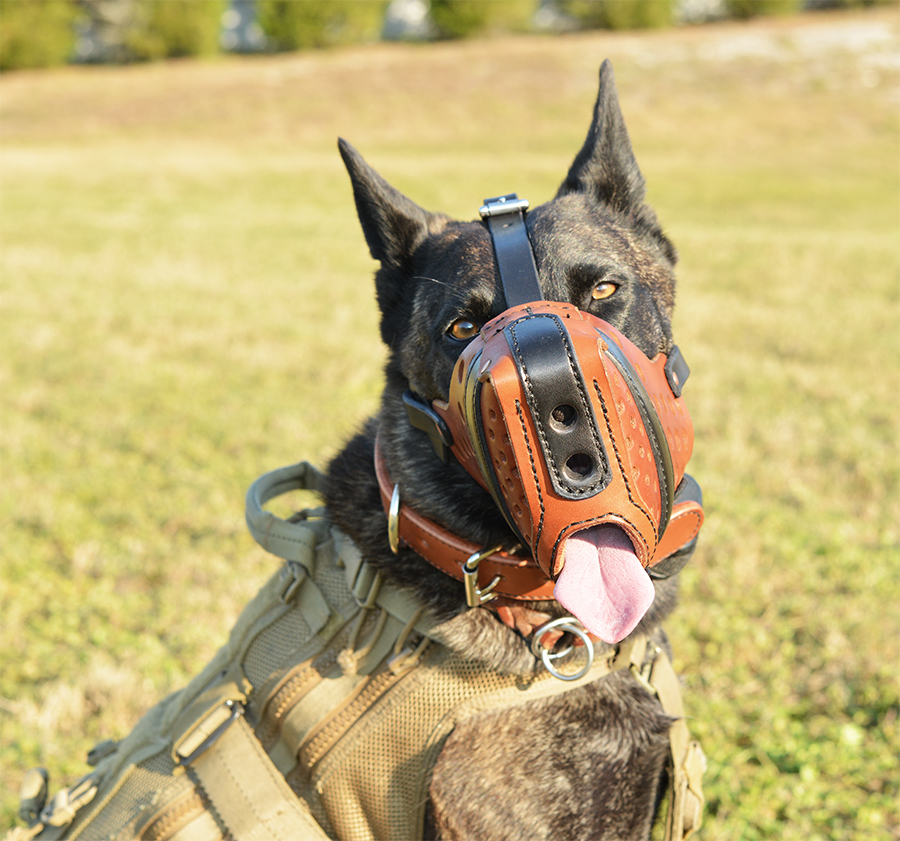 K9 Training Muzzle K9 Training Muzzle