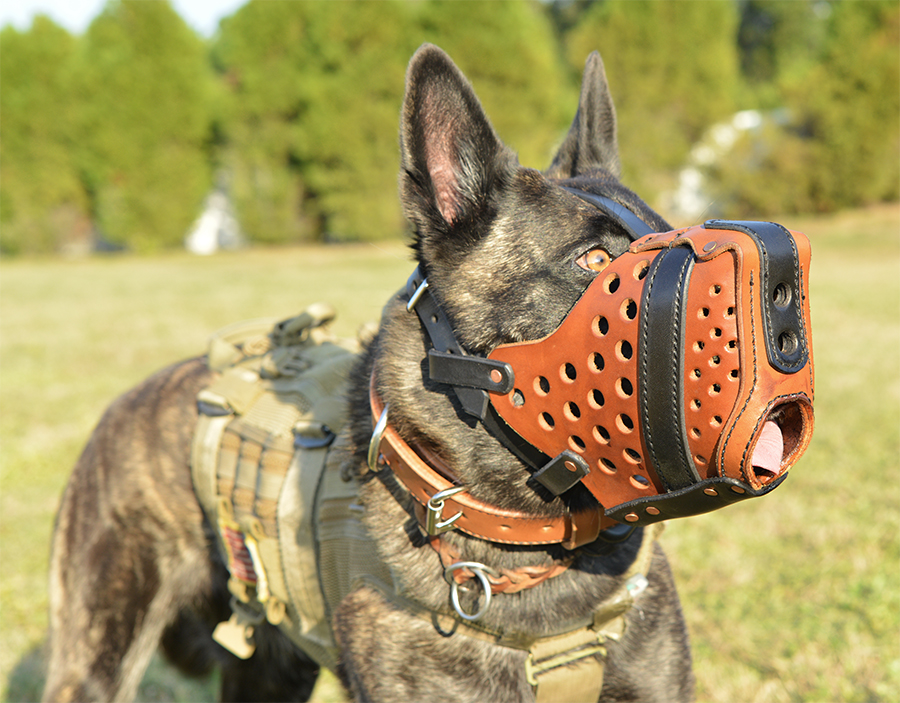 K9 Training Muzzle K9 Training Muzzle