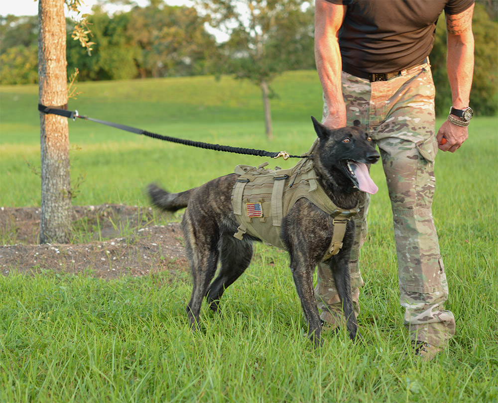 K9 Back Tie with Strap K9 Tactical Back Tie with Strap